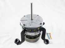 58MV660004.jpg
